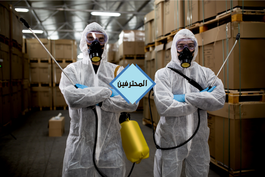 أفضل شركة مكافحة حشرات ورش مبيدات بجازان